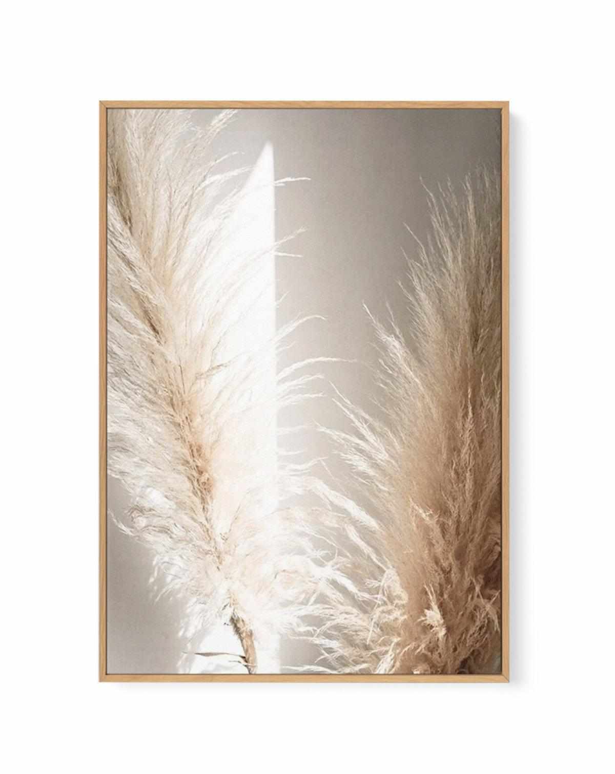 Pampas Ombres II | Framed Canvas Art Print