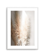 Pampas Ombres I Art Print-PRINT-Olive et Oriel-Olive et Oriel-A4 | 8.3" x 11.7" | 21 x 29.7cm-Unframed Art Print-With White Border-Buy-Australian-Art-Prints-Online-with-Olive-et-Oriel-Your-Artwork-Specialists-Austrailia-Decorate-With-Coastal-Photo-Wall-Art-Prints-From-Our-Beach-House-Artwork-Collection-Fine-Poster-and-Framed-Artwork