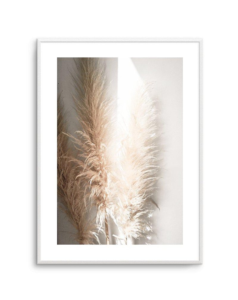 Pampas Ombres I Art Print-PRINT-Olive et Oriel-Olive et Oriel-A4 | 8.3" x 11.7" | 21 x 29.7cm-Unframed Art Print-With White Border-Buy-Australian-Art-Prints-Online-with-Olive-et-Oriel-Your-Artwork-Specialists-Austrailia-Decorate-With-Coastal-Photo-Wall-Art-Prints-From-Our-Beach-House-Artwork-Collection-Fine-Poster-and-Framed-Artwork