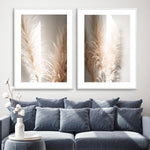 Pampas Ombres I Art Print-PRINT-Olive et Oriel-Olive et Oriel-Buy-Australian-Art-Prints-Online-with-Olive-et-Oriel-Your-Artwork-Specialists-Austrailia-Decorate-With-Coastal-Photo-Wall-Art-Prints-From-Our-Beach-House-Artwork-Collection-Fine-Poster-and-Framed-Artwork