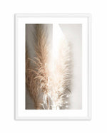 Pampas Ombres I Art Print-PRINT-Olive et Oriel-Olive et Oriel-A4 | 8.3" x 11.7" | 21 x 29.7cm-White-With White Border-Buy-Australian-Art-Prints-Online-with-Olive-et-Oriel-Your-Artwork-Specialists-Austrailia-Decorate-With-Coastal-Photo-Wall-Art-Prints-From-Our-Beach-House-Artwork-Collection-Fine-Poster-and-Framed-Artwork