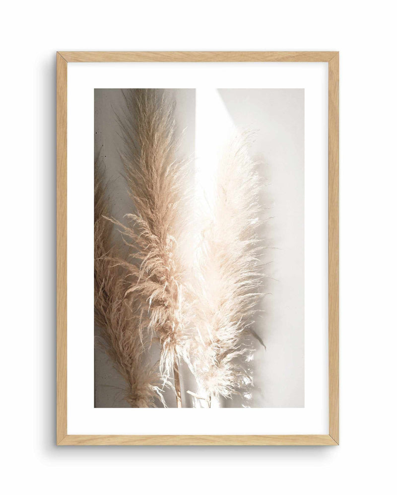 Pampas Ombres I Art Print-PRINT-Olive et Oriel-Olive et Oriel-A4 | 8.3" x 11.7" | 21 x 29.7cm-Oak-With White Border-Buy-Australian-Art-Prints-Online-with-Olive-et-Oriel-Your-Artwork-Specialists-Austrailia-Decorate-With-Coastal-Photo-Wall-Art-Prints-From-Our-Beach-House-Artwork-Collection-Fine-Poster-and-Framed-Artwork