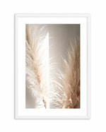 Pampas Ombres II Art Print-PRINT-Olive et Oriel-Olive et Oriel-A4 | 8.3" x 11.7" | 21 x 29.7cm-White-With White Border-Buy-Australian-Art-Prints-Online-with-Olive-et-Oriel-Your-Artwork-Specialists-Austrailia-Decorate-With-Coastal-Photo-Wall-Art-Prints-From-Our-Beach-House-Artwork-Collection-Fine-Poster-and-Framed-Artwork