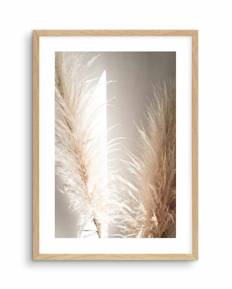 Pampas Ombres II Art Print-PRINT-Olive et Oriel-Olive et Oriel-A4 | 8.3" x 11.7" | 21 x 29.7cm-Oak-With White Border-Buy-Australian-Art-Prints-Online-with-Olive-et-Oriel-Your-Artwork-Specialists-Austrailia-Decorate-With-Coastal-Photo-Wall-Art-Prints-From-Our-Beach-House-Artwork-Collection-Fine-Poster-and-Framed-Artwork