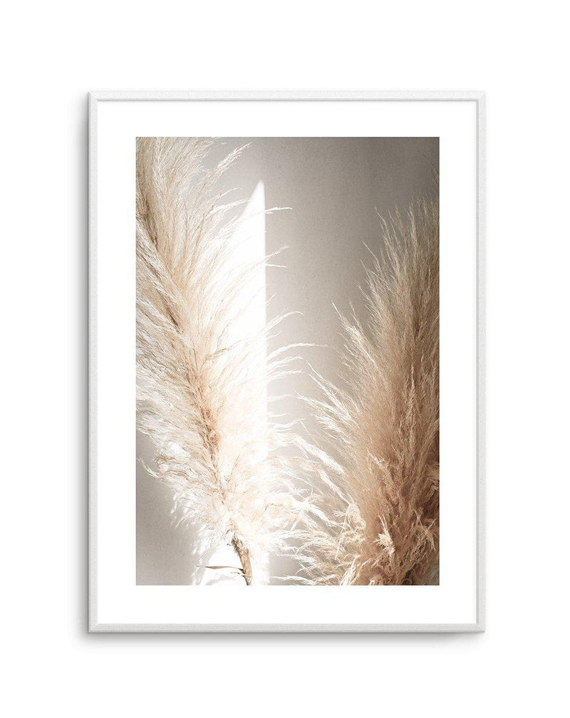 Pampas Ombres II Art Print-PRINT-Olive et Oriel-Olive et Oriel-A4 | 8.3" x 11.7" | 21 x 29.7cm-Unframed Art Print-With White Border-Buy-Australian-Art-Prints-Online-with-Olive-et-Oriel-Your-Artwork-Specialists-Austrailia-Decorate-With-Coastal-Photo-Wall-Art-Prints-From-Our-Beach-House-Artwork-Collection-Fine-Poster-and-Framed-Artwork