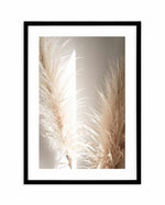 Pampas Ombres II Art Print-PRINT-Olive et Oriel-Olive et Oriel-A4 | 8.3" x 11.7" | 21 x 29.7cm-Black-With White Border-Buy-Australian-Art-Prints-Online-with-Olive-et-Oriel-Your-Artwork-Specialists-Austrailia-Decorate-With-Coastal-Photo-Wall-Art-Prints-From-Our-Beach-House-Artwork-Collection-Fine-Poster-and-Framed-Artwork
