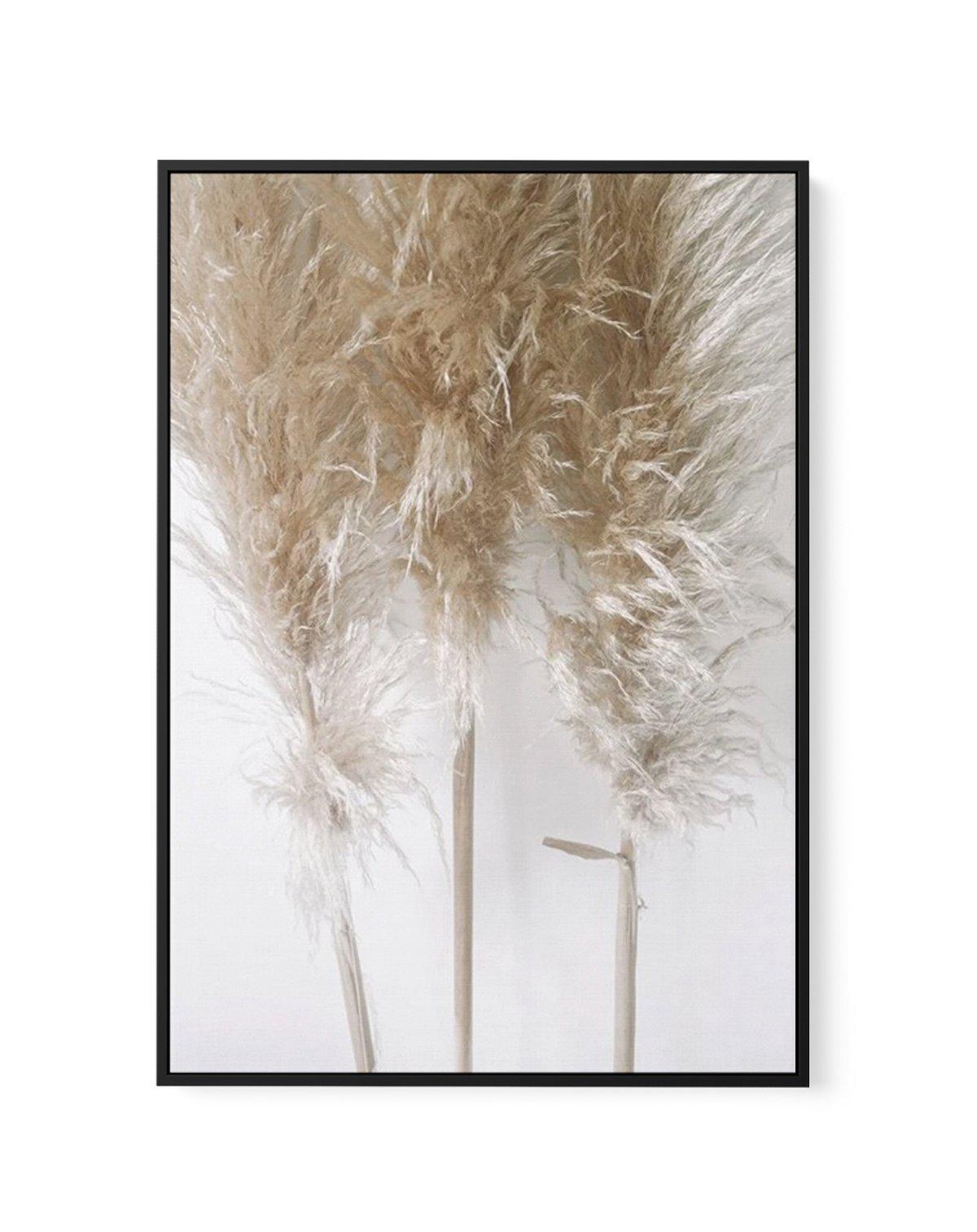 Pampas on Grey I | Framed Canvas-CANVAS-You can shop wall art online with Olive et Oriel for everything from abstract art to fun kids wall art. Our beautiful modern art prints and canvas art are available from large canvas prints to wall art paintings and our proudly Australian artwork collection offers only the highest quality framed large wall art and canvas art Australia - You can buy fashion photography prints or Hampton print posters and paintings on canvas from Olive et Oriel and have them