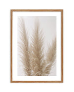 Pampas on Grey II Art Print-PRINT-Olive et Oriel-Olive et Oriel-50x70 cm | 19.6" x 27.5"-Walnut-With White Border-Buy-Australian-Art-Prints-Online-with-Olive-et-Oriel-Your-Artwork-Specialists-Austrailia-Decorate-With-Coastal-Photo-Wall-Art-Prints-From-Our-Beach-House-Artwork-Collection-Fine-Poster-and-Framed-Artwork