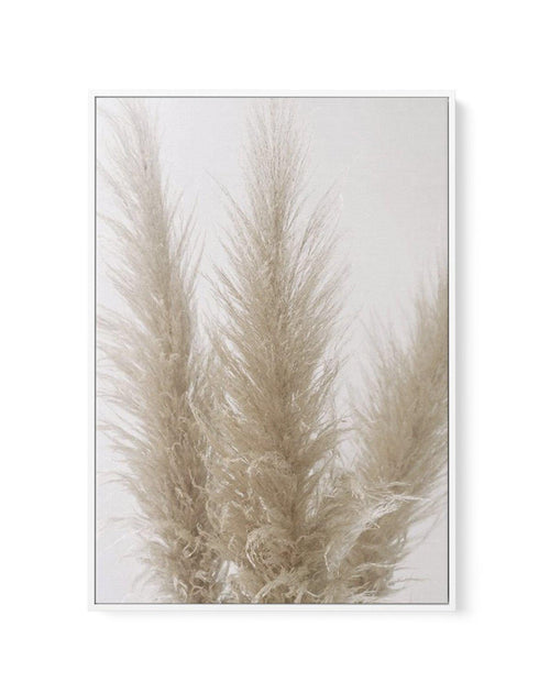 Pampas on Grey II | Framed Canvas-CANVAS-You can shop wall art online with Olive et Oriel for everything from abstract art to fun kids wall art. Our beautiful modern art prints and canvas art are available from large canvas prints to wall art paintings and our proudly Australian artwork collection offers only the highest quality framed large wall art and canvas art Australia - You can buy fashion photography prints or Hampton print posters and paintings on canvas from Olive et Oriel and have the