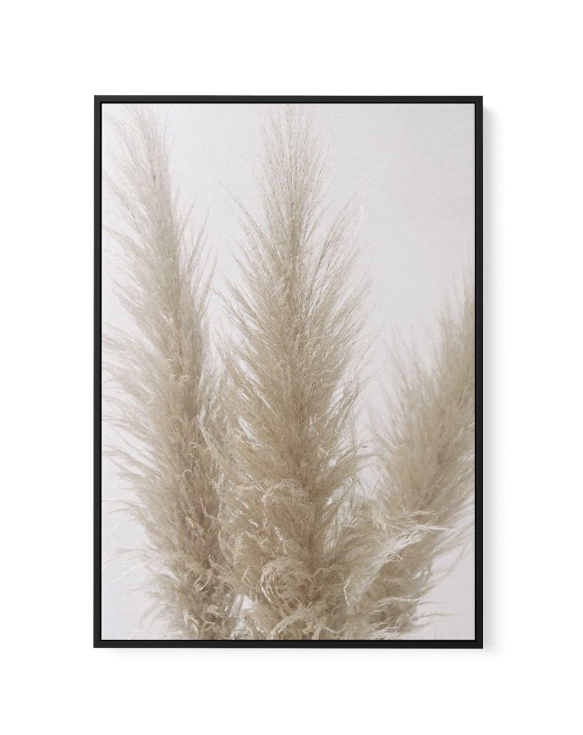 Pampas on Grey II | Framed Canvas-CANVAS-You can shop wall art online with Olive et Oriel for everything from abstract art to fun kids wall art. Our beautiful modern art prints and canvas art are available from large canvas prints to wall art paintings and our proudly Australian artwork collection offers only the highest quality framed large wall art and canvas art Australia - You can buy fashion photography prints or Hampton print posters and paintings on canvas from Olive et Oriel and have the