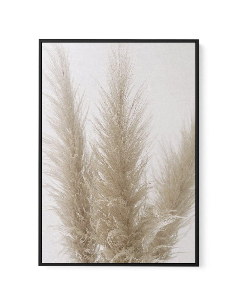 Pampas on Grey II | Framed Canvas-CANVAS-You can shop wall art online with Olive et Oriel for everything from abstract art to fun kids wall art. Our beautiful modern art prints and canvas art are available from large canvas prints to wall art paintings and our proudly Australian artwork collection offers only the highest quality framed large wall art and canvas art Australia - You can buy fashion photography prints or Hampton print posters and paintings on canvas from Olive et Oriel and have the