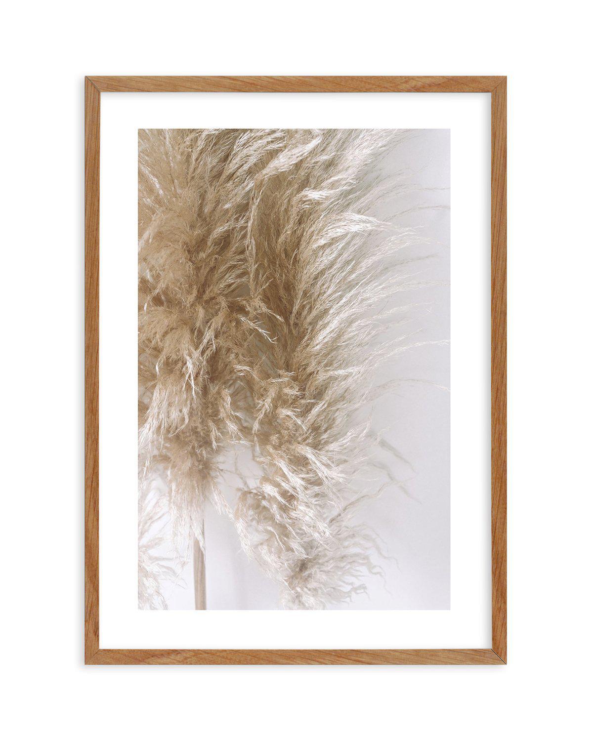 Pampas on Grey III Art Print-PRINT-Olive et Oriel-Olive et Oriel-50x70 cm | 19.6" x 27.5"-Walnut-With White Border-Buy-Australian-Art-Prints-Online-with-Olive-et-Oriel-Your-Artwork-Specialists-Austrailia-Decorate-With-Coastal-Photo-Wall-Art-Prints-From-Our-Beach-House-Artwork-Collection-Fine-Poster-and-Framed-Artwork