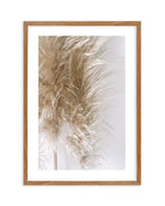 Pampas on Grey III Art Print-PRINT-Olive et Oriel-Olive et Oriel-50x70 cm | 19.6" x 27.5"-Walnut-With White Border-Buy-Australian-Art-Prints-Online-with-Olive-et-Oriel-Your-Artwork-Specialists-Austrailia-Decorate-With-Coastal-Photo-Wall-Art-Prints-From-Our-Beach-House-Artwork-Collection-Fine-Poster-and-Framed-Artwork