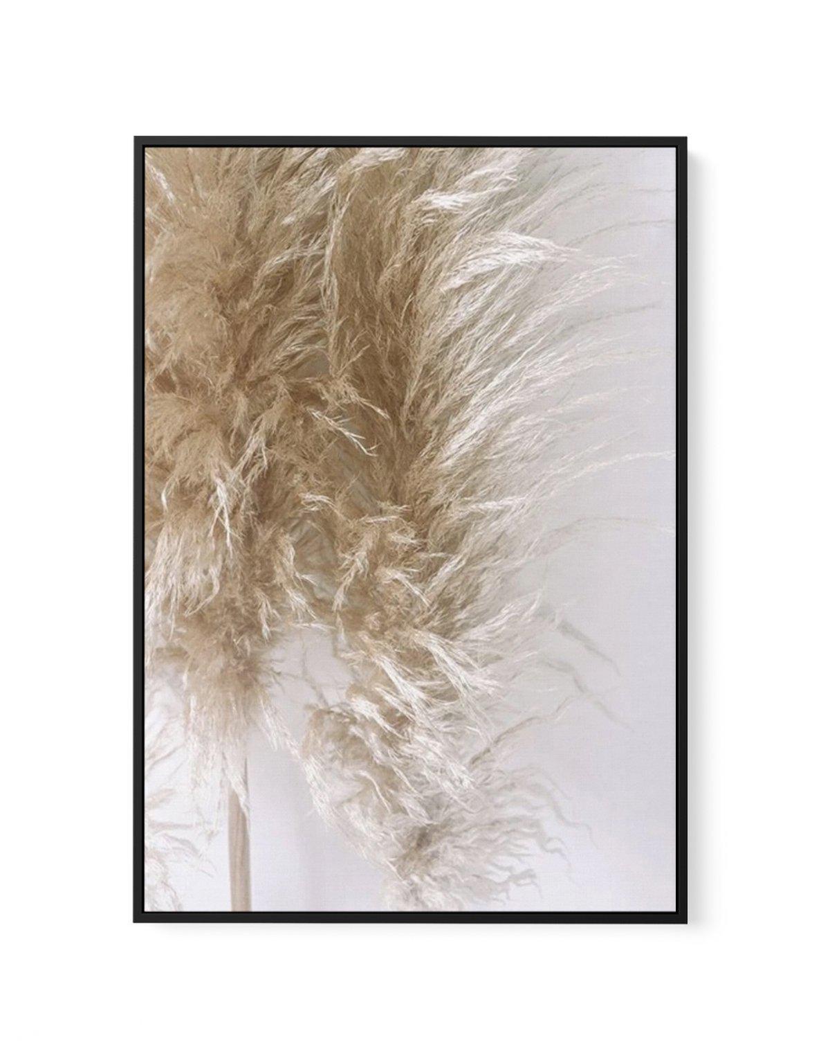 Pampas on Grey III | Framed Canvas-CANVAS-You can shop wall art online with Olive et Oriel for everything from abstract art to fun kids wall art. Our beautiful modern art prints and canvas art are available from large canvas prints to wall art paintings and our proudly Australian artwork collection offers only the highest quality framed large wall art and canvas art Australia - You can buy fashion photography prints or Hampton print posters and paintings on canvas from Olive et Oriel and have th