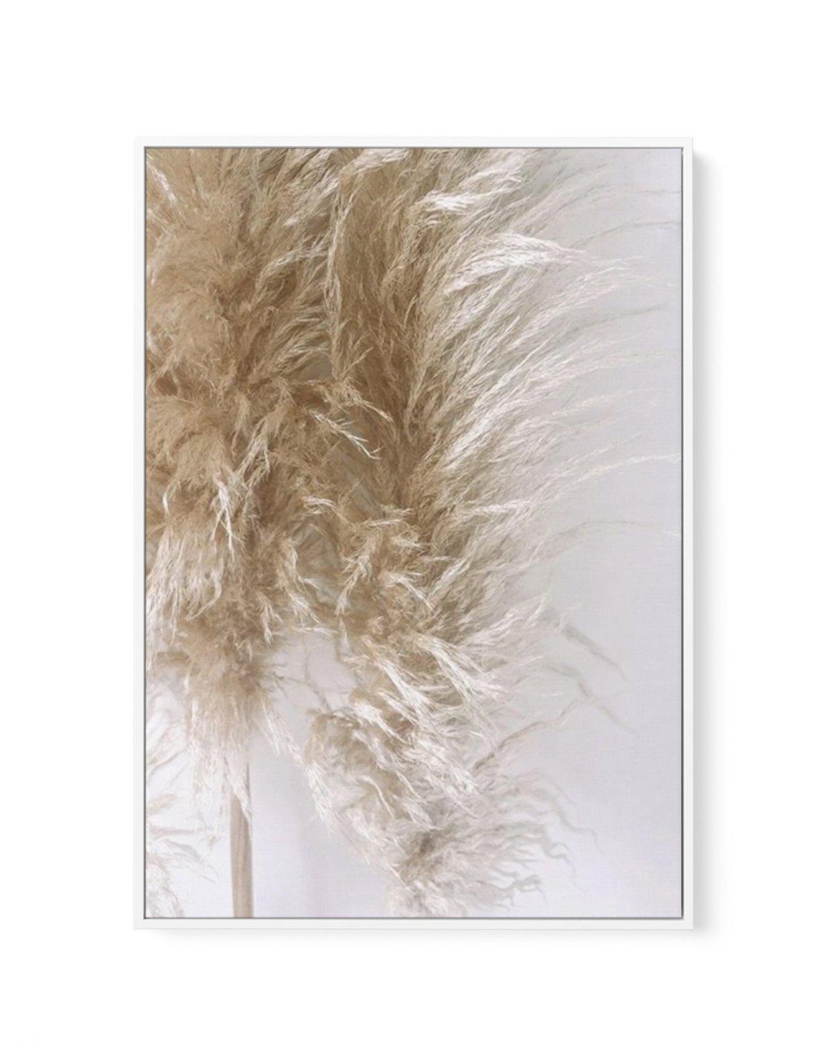 Pampas on Grey III | Framed Canvas-CANVAS-You can shop wall art online with Olive et Oriel for everything from abstract art to fun kids wall art. Our beautiful modern art prints and canvas art are available from large canvas prints to wall art paintings and our proudly Australian artwork collection offers only the highest quality framed large wall art and canvas art Australia - You can buy fashion photography prints or Hampton print posters and paintings on canvas from Olive et Oriel and have th