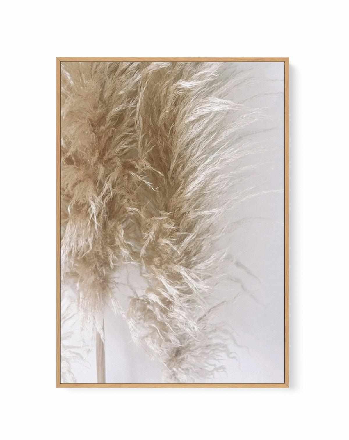 Pampas on Grey III | Framed Canvas