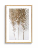 Pampas on Grey I Art Print-PRINT-Olive et Oriel-Olive et Oriel-A4 | 8.3" x 11.7" | 21 x 29.7cm-Oak-With White Border-Buy-Australian-Art-Prints-Online-with-Olive-et-Oriel-Your-Artwork-Specialists-Austrailia-Decorate-With-Coastal-Photo-Wall-Art-Prints-From-Our-Beach-House-Artwork-Collection-Fine-Poster-and-Framed-Artwork