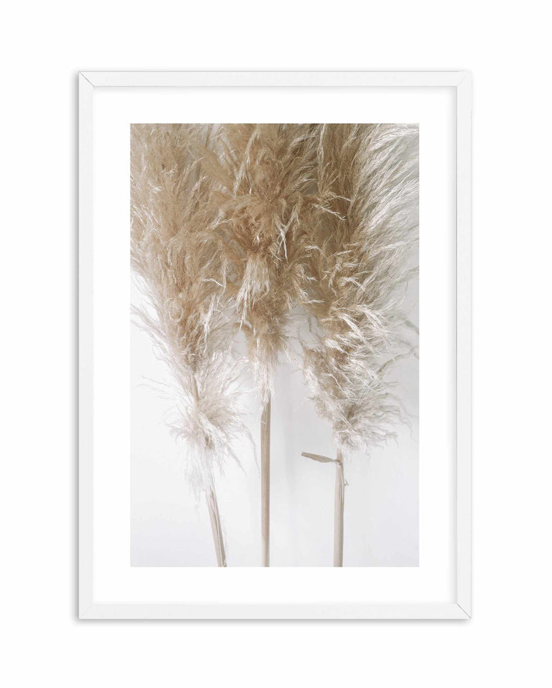 Pampas on Grey I Art Print-PRINT-Olive et Oriel-Olive et Oriel-A4 | 8.3" x 11.7" | 21 x 29.7cm-White-With White Border-Buy-Australian-Art-Prints-Online-with-Olive-et-Oriel-Your-Artwork-Specialists-Austrailia-Decorate-With-Coastal-Photo-Wall-Art-Prints-From-Our-Beach-House-Artwork-Collection-Fine-Poster-and-Framed-Artwork