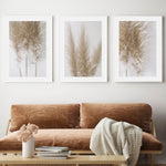 Pampas on Grey I Art Print-PRINT-Olive et Oriel-Olive et Oriel-Buy-Australian-Art-Prints-Online-with-Olive-et-Oriel-Your-Artwork-Specialists-Austrailia-Decorate-With-Coastal-Photo-Wall-Art-Prints-From-Our-Beach-House-Artwork-Collection-Fine-Poster-and-Framed-Artwork