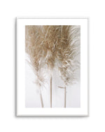 Pampas on Grey I Art Print-PRINT-Olive et Oriel-Olive et Oriel-A4 | 8.3" x 11.7" | 21 x 29.7cm-Unframed Art Print-With White Border-Buy-Australian-Art-Prints-Online-with-Olive-et-Oriel-Your-Artwork-Specialists-Austrailia-Decorate-With-Coastal-Photo-Wall-Art-Prints-From-Our-Beach-House-Artwork-Collection-Fine-Poster-and-Framed-Artwork