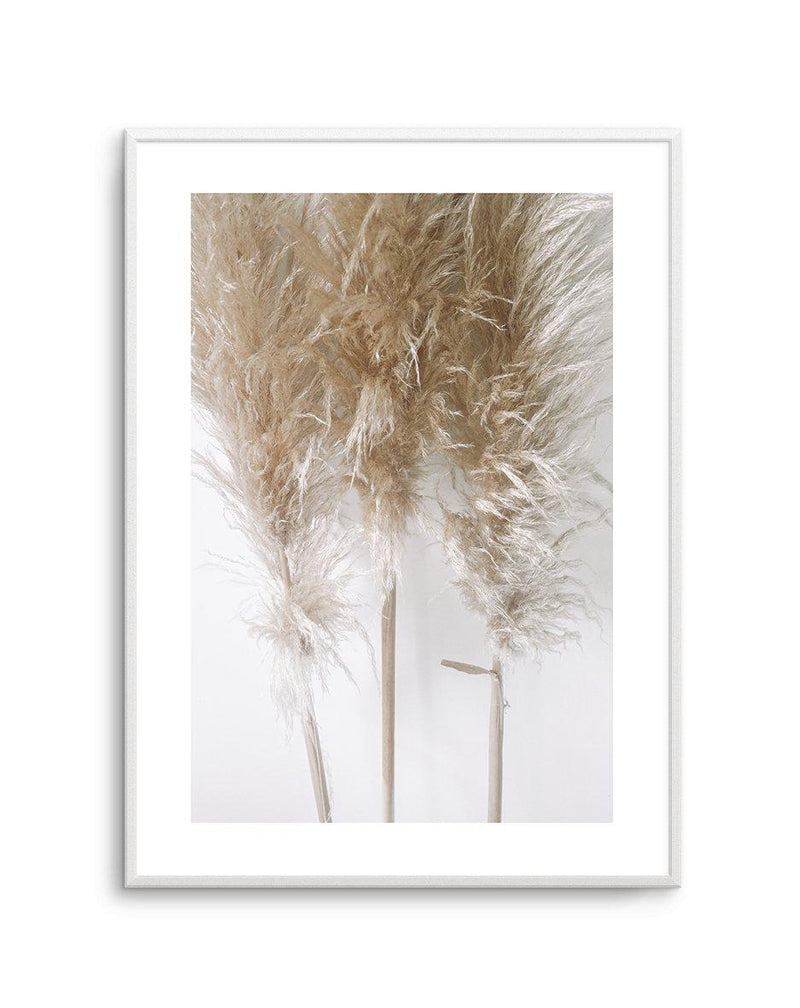 Pampas on Grey I Art Print-PRINT-Olive et Oriel-Olive et Oriel-A4 | 8.3" x 11.7" | 21 x 29.7cm-Unframed Art Print-With White Border-Buy-Australian-Art-Prints-Online-with-Olive-et-Oriel-Your-Artwork-Specialists-Austrailia-Decorate-With-Coastal-Photo-Wall-Art-Prints-From-Our-Beach-House-Artwork-Collection-Fine-Poster-and-Framed-Artwork