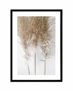 Pampas on Grey I Art Print-PRINT-Olive et Oriel-Olive et Oriel-A4 | 8.3" x 11.7" | 21 x 29.7cm-Black-With White Border-Buy-Australian-Art-Prints-Online-with-Olive-et-Oriel-Your-Artwork-Specialists-Austrailia-Decorate-With-Coastal-Photo-Wall-Art-Prints-From-Our-Beach-House-Artwork-Collection-Fine-Poster-and-Framed-Artwork
