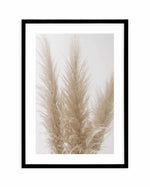 Pampas on Grey II Art Print-PRINT-Olive et Oriel-Olive et Oriel-A4 | 8.3" x 11.7" | 21 x 29.7cm-Black-With White Border-Buy-Australian-Art-Prints-Online-with-Olive-et-Oriel-Your-Artwork-Specialists-Austrailia-Decorate-With-Coastal-Photo-Wall-Art-Prints-From-Our-Beach-House-Artwork-Collection-Fine-Poster-and-Framed-Artwork