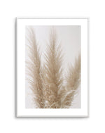 Pampas on Grey II Art Print-PRINT-Olive et Oriel-Olive et Oriel-A4 | 8.3" x 11.7" | 21 x 29.7cm-Unframed Art Print-With White Border-Buy-Australian-Art-Prints-Online-with-Olive-et-Oriel-Your-Artwork-Specialists-Austrailia-Decorate-With-Coastal-Photo-Wall-Art-Prints-From-Our-Beach-House-Artwork-Collection-Fine-Poster-and-Framed-Artwork