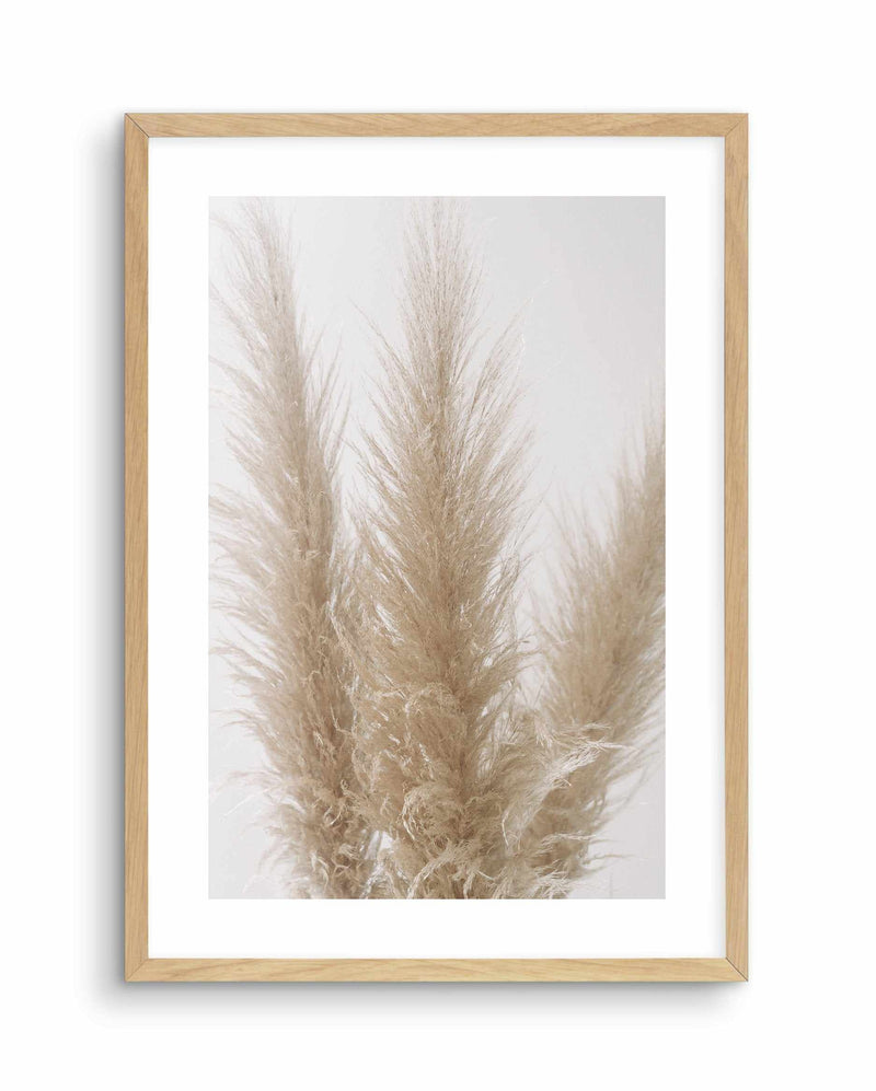 Pampas on Grey II Art Print-PRINT-Olive et Oriel-Olive et Oriel-A4 | 8.3" x 11.7" | 21 x 29.7cm-Oak-With White Border-Buy-Australian-Art-Prints-Online-with-Olive-et-Oriel-Your-Artwork-Specialists-Austrailia-Decorate-With-Coastal-Photo-Wall-Art-Prints-From-Our-Beach-House-Artwork-Collection-Fine-Poster-and-Framed-Artwork
