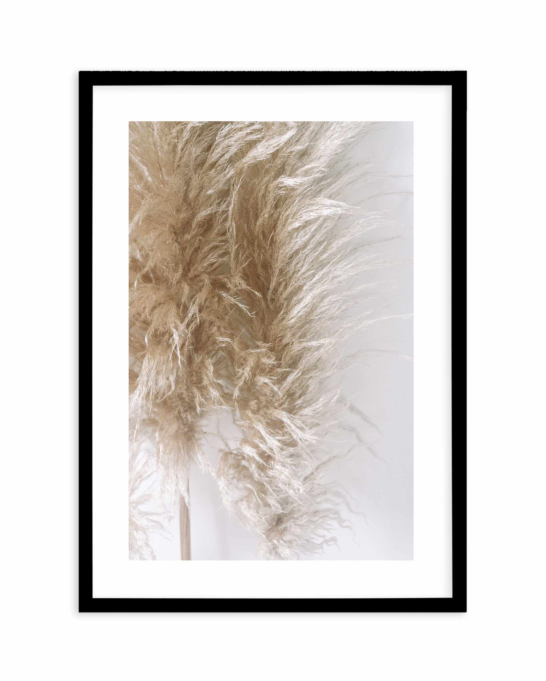 Pampas on Grey III Art Print-PRINT-Olive et Oriel-Olive et Oriel-A4 | 8.3" x 11.7" | 21 x 29.7cm-Black-With White Border-Buy-Australian-Art-Prints-Online-with-Olive-et-Oriel-Your-Artwork-Specialists-Austrailia-Decorate-With-Coastal-Photo-Wall-Art-Prints-From-Our-Beach-House-Artwork-Collection-Fine-Poster-and-Framed-Artwork