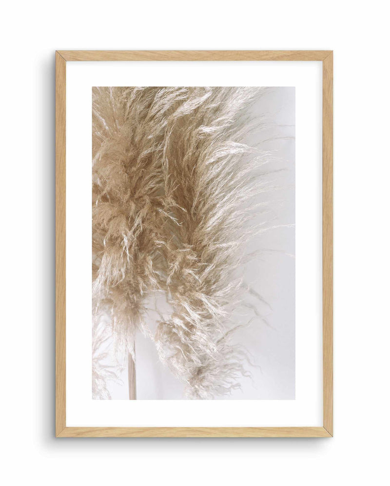Pampas on Grey III Art Print-PRINT-Olive et Oriel-Olive et Oriel-A4 | 8.3" x 11.7" | 21 x 29.7cm-Oak-With White Border-Buy-Australian-Art-Prints-Online-with-Olive-et-Oriel-Your-Artwork-Specialists-Austrailia-Decorate-With-Coastal-Photo-Wall-Art-Prints-From-Our-Beach-House-Artwork-Collection-Fine-Poster-and-Framed-Artwork