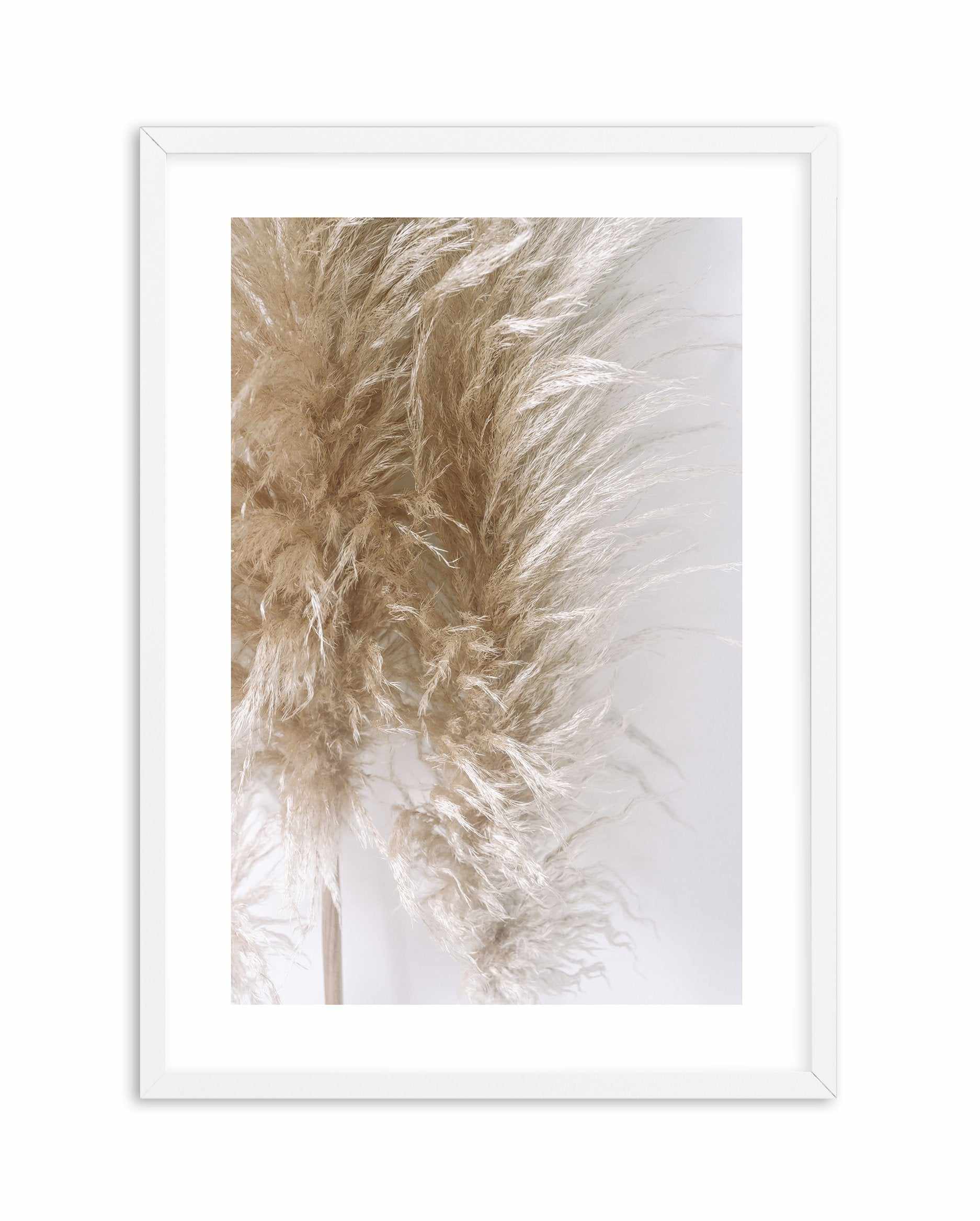 Pampas on Grey III Art Print-PRINT-Olive et Oriel-Olive et Oriel-A4 | 8.3" x 11.7" | 21 x 29.7cm-White-With White Border-Buy-Australian-Art-Prints-Online-with-Olive-et-Oriel-Your-Artwork-Specialists-Austrailia-Decorate-With-Coastal-Photo-Wall-Art-Prints-From-Our-Beach-House-Artwork-Collection-Fine-Poster-and-Framed-Artwork