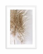 Pampas on Grey III Art Print-PRINT-Olive et Oriel-Olive et Oriel-A4 | 8.3" x 11.7" | 21 x 29.7cm-White-With White Border-Buy-Australian-Art-Prints-Online-with-Olive-et-Oriel-Your-Artwork-Specialists-Austrailia-Decorate-With-Coastal-Photo-Wall-Art-Prints-From-Our-Beach-House-Artwork-Collection-Fine-Poster-and-Framed-Artwork