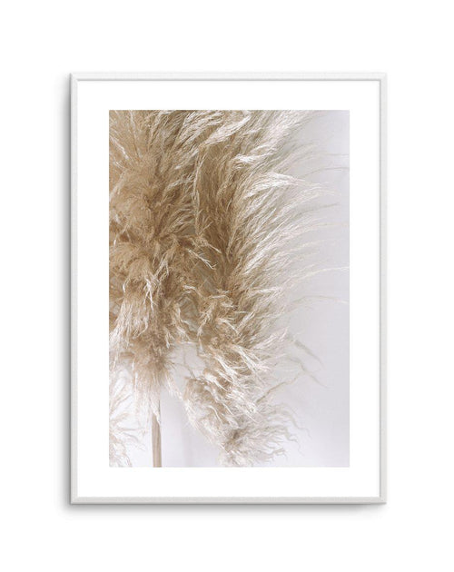 Pampas on Grey III Art Print-PRINT-Olive et Oriel-Olive et Oriel-A4 | 8.3" x 11.7" | 21 x 29.7cm-Unframed Art Print-With White Border-Buy-Australian-Art-Prints-Online-with-Olive-et-Oriel-Your-Artwork-Specialists-Austrailia-Decorate-With-Coastal-Photo-Wall-Art-Prints-From-Our-Beach-House-Artwork-Collection-Fine-Poster-and-Framed-Artwork