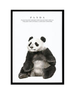 Panda Art Print-PRINT-Olive et Oriel-Olive et Oriel-A5 | 5.8" x 8.3" | 14.8 x 21cm-Black-With White Border-Buy-Australian-Art-Prints-Online-with-Olive-et-Oriel-Your-Artwork-Specialists-Austrailia-Decorate-With-Coastal-Photo-Wall-Art-Prints-From-Our-Beach-House-Artwork-Collection-Fine-Poster-and-Framed-Artwork