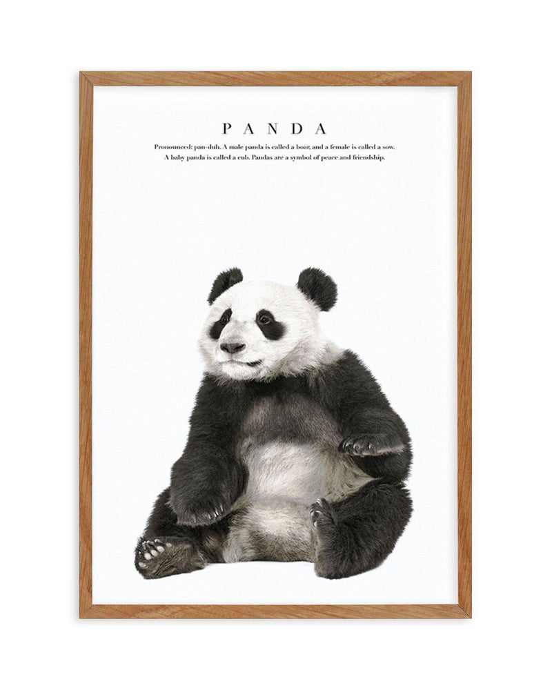 Panda Art Print-PRINT-Olive et Oriel-Olive et Oriel-50x70 cm | 19.6" x 27.5"-Walnut-With White Border-Buy-Australian-Art-Prints-Online-with-Olive-et-Oriel-Your-Artwork-Specialists-Austrailia-Decorate-With-Coastal-Photo-Wall-Art-Prints-From-Our-Beach-House-Artwork-Collection-Fine-Poster-and-Framed-Artwork