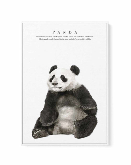 Panda | Framed Canvas-CANVAS-You can shop wall art online with Olive et Oriel for everything from abstract art to fun kids wall art. Our beautiful modern art prints and canvas art are available from large canvas prints to wall art paintings and our proudly Australian artwork collection offers only the highest quality framed large wall art and canvas art Australia - You can buy fashion photography prints or Hampton print posters and paintings on canvas from Olive et Oriel and have them delivered 