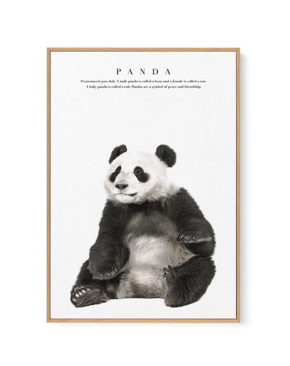 Panda | Framed Canvas-CANVAS-You can shop wall art online with Olive et Oriel for everything from abstract art to fun kids wall art. Our beautiful modern art prints and canvas art are available from large canvas prints to wall art paintings and our proudly Australian artwork collection offers only the highest quality framed large wall art and canvas art Australia - You can buy fashion photography prints or Hampton print posters and paintings on canvas from Olive et Oriel and have them delivered 