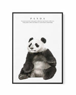 Panda | Framed Canvas-CANVAS-You can shop wall art online with Olive et Oriel for everything from abstract art to fun kids wall art. Our beautiful modern art prints and canvas art are available from large canvas prints to wall art paintings and our proudly Australian artwork collection offers only the highest quality framed large wall art and canvas art Australia - You can buy fashion photography prints or Hampton print posters and paintings on canvas from Olive et Oriel and have them delivered 