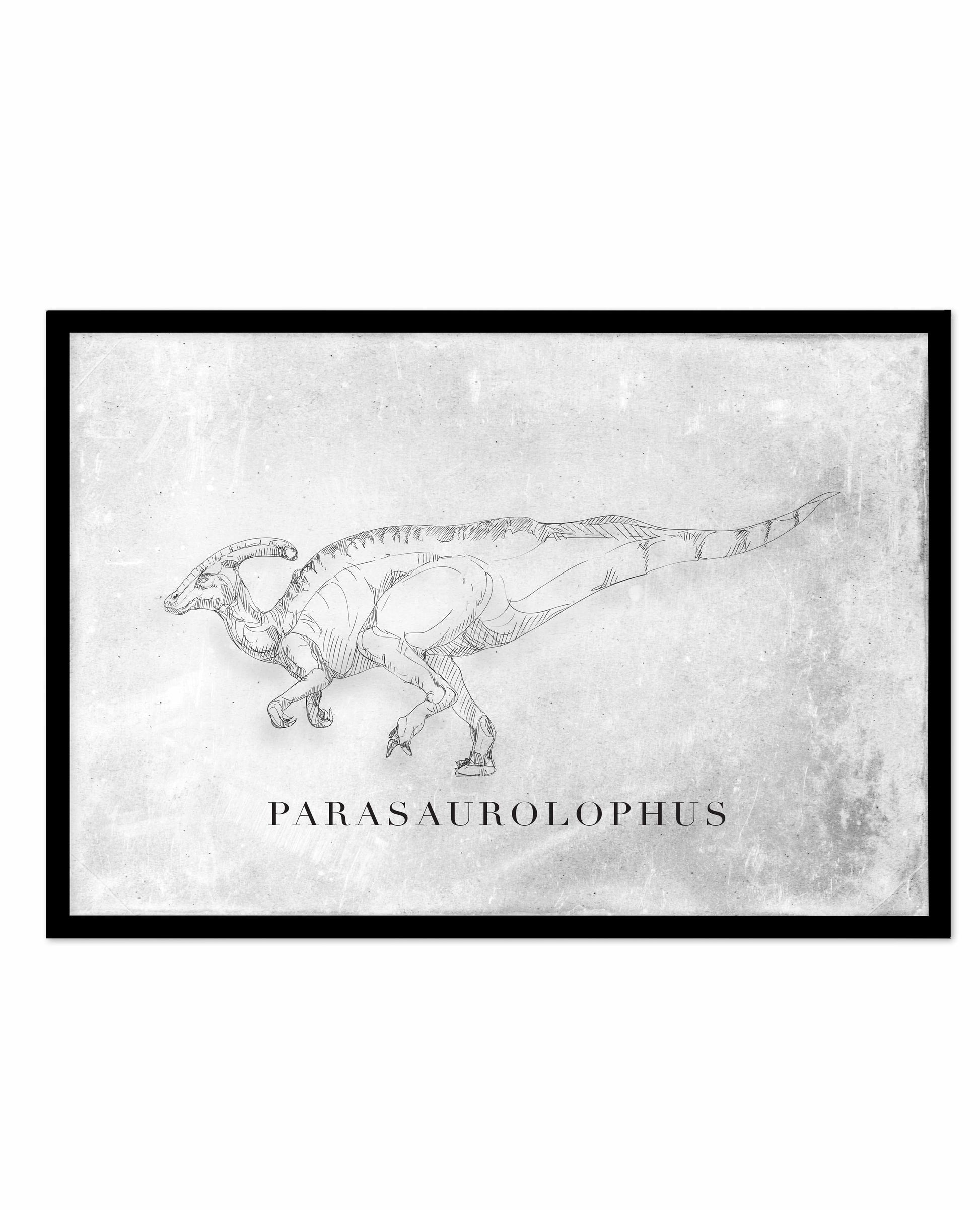 Parasaurolophus LS | Dinosaur Collection Art Print-PRINT-Olive et Oriel-Olive et Oriel-A5 | 5.8" x 8.3" | 14.8 x 21cm-Black-With White Border-Buy-Australian-Art-Prints-Online-with-Olive-et-Oriel-Your-Artwork-Specialists-Austrailia-Decorate-With-Coastal-Photo-Wall-Art-Prints-From-Our-Beach-House-Artwork-Collection-Fine-Poster-and-Framed-Artwork