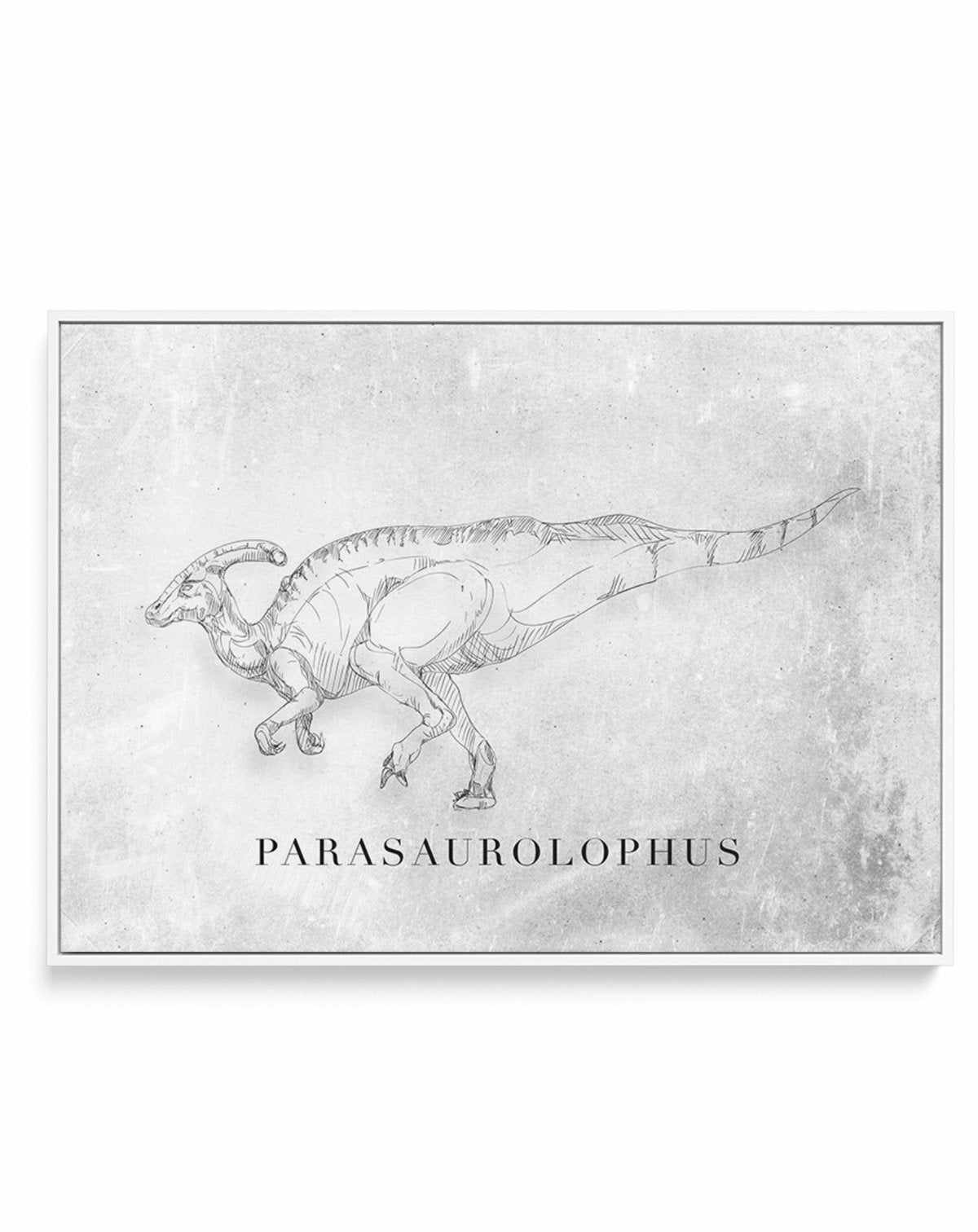 Parasaurolophus LS | Dinosaur Collection | Framed Canvas-CANVAS-You can shop wall art online with Olive et Oriel for everything from abstract art to fun kids wall art. Our beautiful modern art prints and canvas art are available from large canvas prints to wall art paintings and our proudly Australian artwork collection offers only the highest quality framed large wall art and canvas art Australia - You can buy fashion photography prints or Hampton print posters and paintings on canvas from Oliv