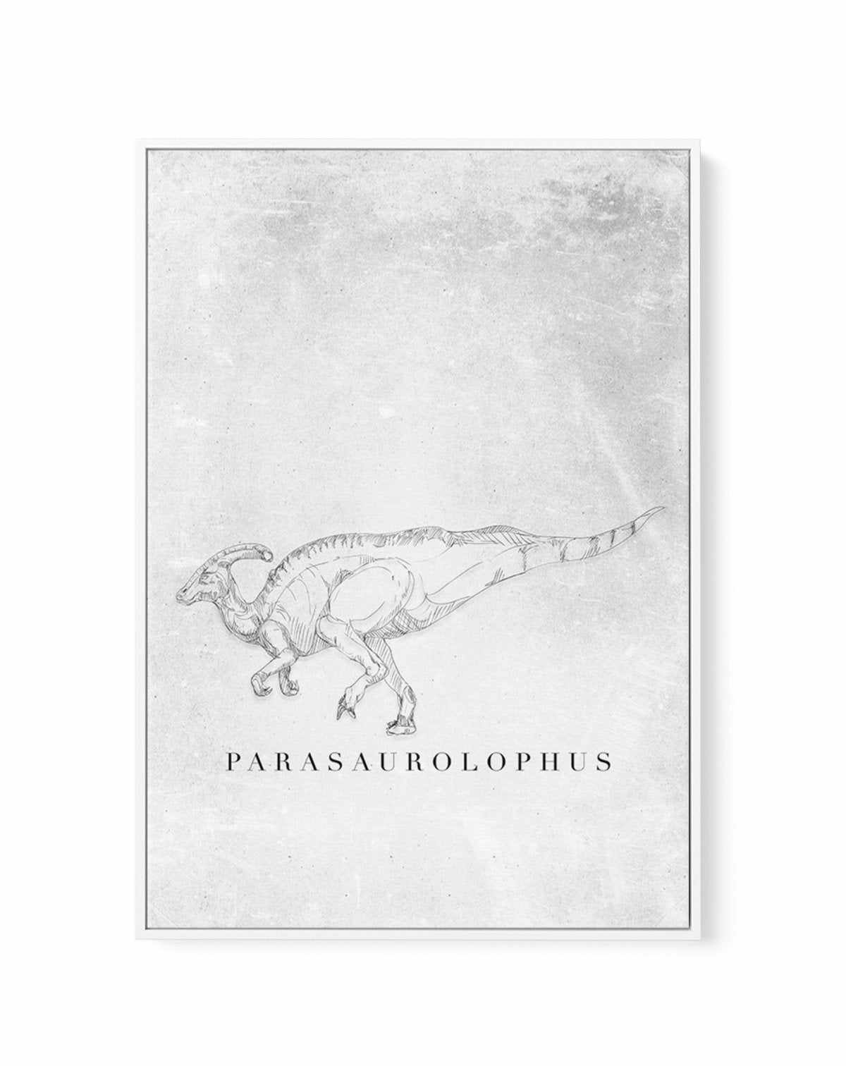 Parasaurolophus PT | Dinosaur Collection | Framed Canvas-CANVAS-You can shop wall art online with Olive et Oriel for everything from abstract art to fun kids wall art. Our beautiful modern art prints and canvas art are available from large canvas prints to wall art paintings and our proudly Australian artwork collection offers only the highest quality framed large wall art and canvas art Australia - You can buy fashion photography prints or Hampton print posters and paintings on canvas from Oliv