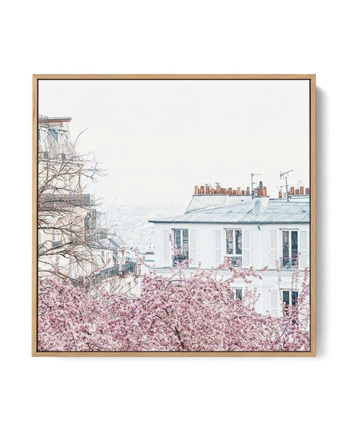 Parisian Blooms I SQ | Framed Canvas-CANVAS-You can shop wall art online with Olive et Oriel for everything from abstract art to fun kids wall art. Our beautiful modern art prints and canvas art are available from large canvas prints to wall art paintings and our proudly Australian artwork collection offers only the highest quality framed large wall art and canvas art Australia - You can buy fashion photography prints or Hampton print posters and paintings on canvas from Olive et Oriel and have 