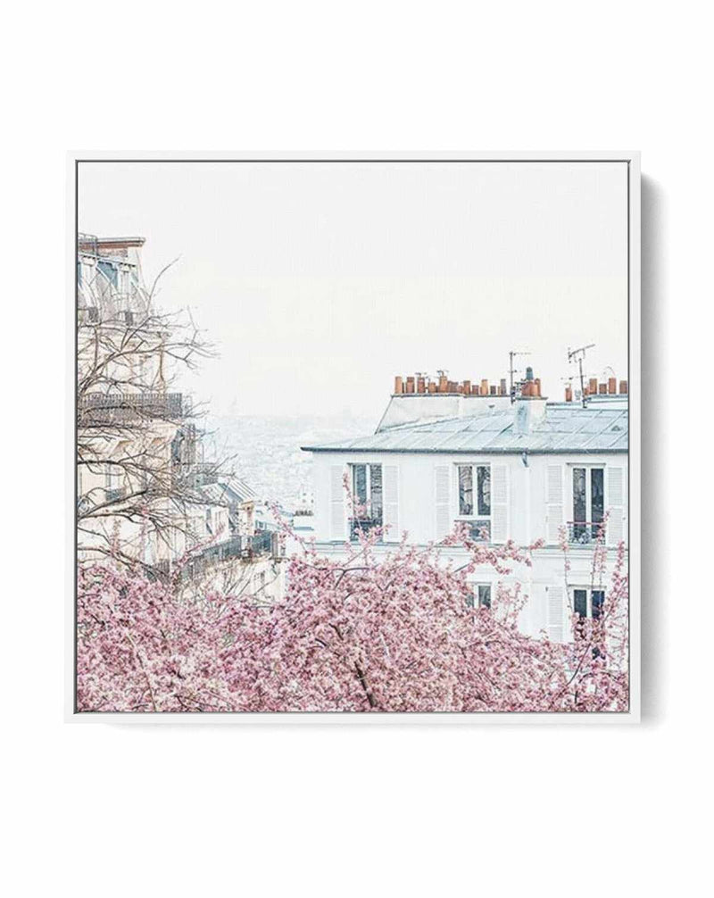 Parisian Blooms I SQ | Framed Canvas-CANVAS-You can shop wall art online with Olive et Oriel for everything from abstract art to fun kids wall art. Our beautiful modern art prints and canvas art are available from large canvas prints to wall art paintings and our proudly Australian artwork collection offers only the highest quality framed large wall art and canvas art Australia - You can buy fashion photography prints or Hampton print posters and paintings on canvas from Olive et Oriel and have 