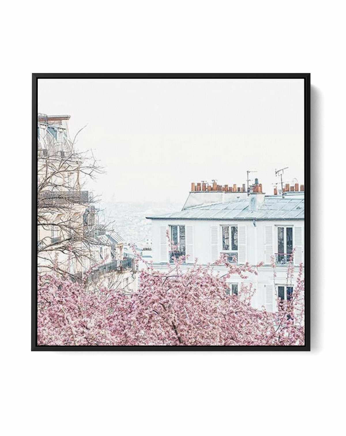 Parisian Blooms I SQ | Framed Canvas-CANVAS-You can shop wall art online with Olive et Oriel for everything from abstract art to fun kids wall art. Our beautiful modern art prints and canvas art are available from large canvas prints to wall art paintings and our proudly Australian artwork collection offers only the highest quality framed large wall art and canvas art Australia - You can buy fashion photography prints or Hampton print posters and paintings on canvas from Olive et Oriel and have 