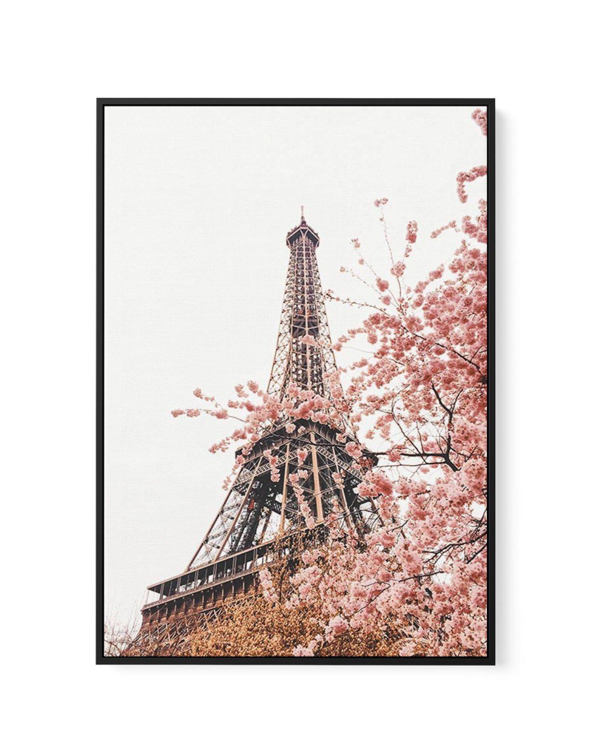 Parisian Blooms II | Framed Canvas-CANVAS-You can shop wall art online with Olive et Oriel for everything from abstract art to fun kids wall art. Our beautiful modern art prints and canvas art are available from large canvas prints to wall art paintings and our proudly Australian artwork collection offers only the highest quality framed large wall art and canvas art Australia - You can buy fashion photography prints or Hampton print posters and paintings on canvas from Olive et Oriel and have th