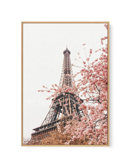 Parisian Blooms II | Framed Canvas-CANVAS-You can shop wall art online with Olive et Oriel for everything from abstract art to fun kids wall art. Our beautiful modern art prints and canvas art are available from large canvas prints to wall art paintings and our proudly Australian artwork collection offers only the highest quality framed large wall art and canvas art Australia - You can buy fashion photography prints or Hampton print posters and paintings on canvas from Olive et Oriel and have th