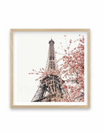 Parisian Blooms II SQ | Framed Canvas-CANVAS-You can shop wall art online with Olive et Oriel for everything from abstract art to fun kids wall art. Our beautiful modern art prints and canvas art are available from large canvas prints to wall art paintings and our proudly Australian artwork collection offers only the highest quality framed large wall art and canvas art Australia - You can buy fashion photography prints or Hampton print posters and paintings on canvas from Olive et Oriel and have