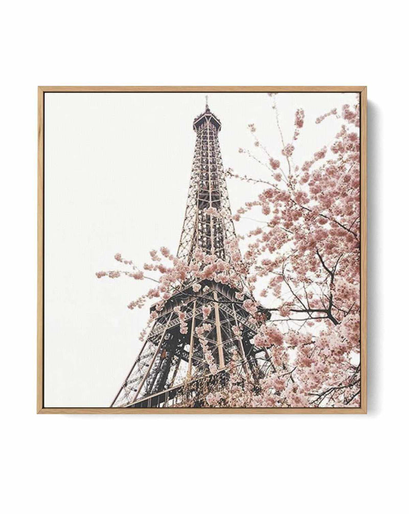 Parisian Blooms II SQ | Framed Canvas-CANVAS-You can shop wall art online with Olive et Oriel for everything from abstract art to fun kids wall art. Our beautiful modern art prints and canvas art are available from large canvas prints to wall art paintings and our proudly Australian artwork collection offers only the highest quality framed large wall art and canvas art Australia - You can buy fashion photography prints or Hampton print posters and paintings on canvas from Olive et Oriel and have