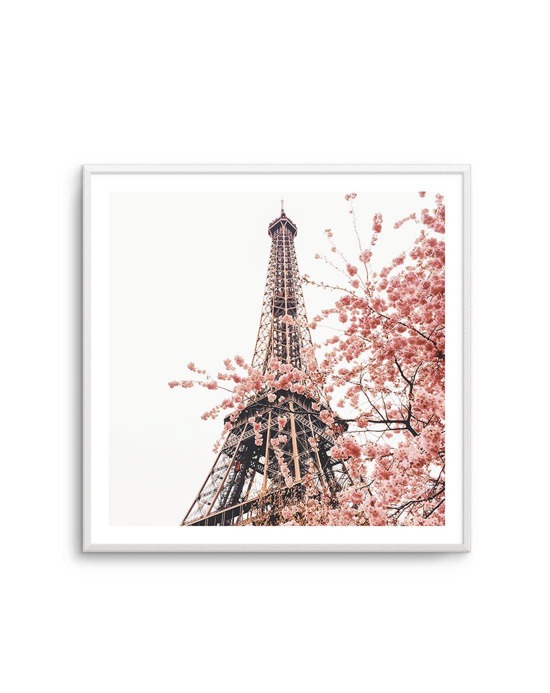 Parisian Blooms II | SQ Art Print-PRINT-Olive et Oriel-Olive et Oriel-Buy-Australian-Art-Prints-Online-with-Olive-et-Oriel-Your-Artwork-Specialists-Austrailia-Decorate-With-Coastal-Photo-Wall-Art-Prints-From-Our-Beach-House-Artwork-Collection-Fine-Poster-and-Framed-Artwork